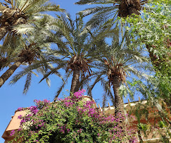 Découvrez Marrakech autrement : spa, riads et désert