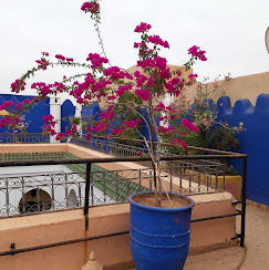 Excursion Marrakech désert : que prévoir pour une nuit en bivouac ?