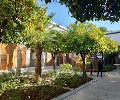 Excursion désert Marrakech : les 5 circuits à tester absolument