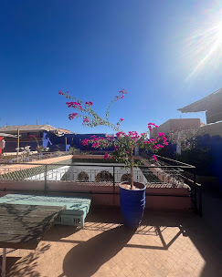 Idées d’excursions pour découvrir les trésors naturels autour de Marrakech